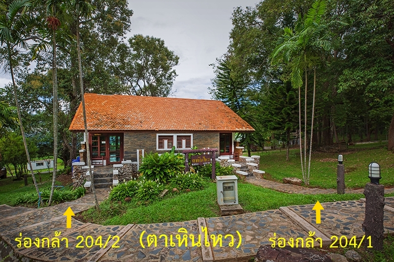 ร่องกล้า 204/1 (ตาเหินไหว)