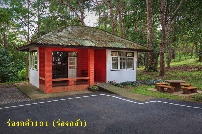 ร่องกล้า 101 (ร่องกล้า)