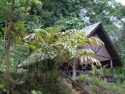 เขาหลวง 201 (สาวหยุด)