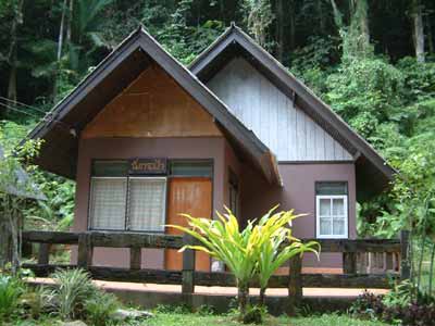 เขาหลวง 202 (ฉัตรฟ้า)