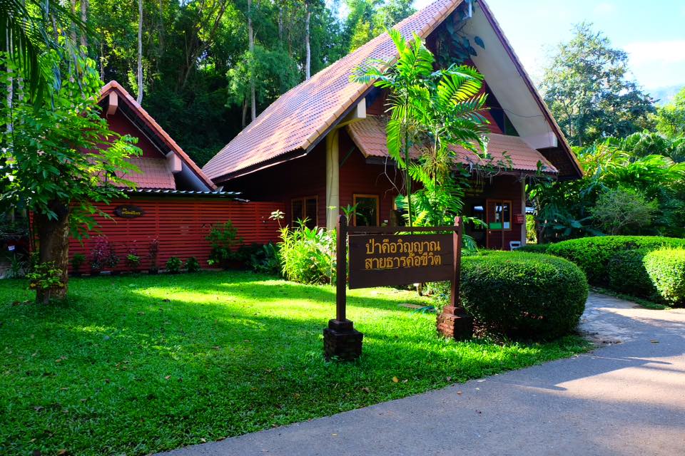 ลานแควใหญ่ (พื้นที่กางเต็นท์)